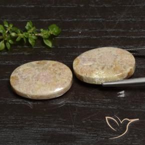 Shop natural 29.83ct マルチカラー 化石サンゴ gems, 楕円形, from インドネシア at GemSelect. In stock, global shipping!