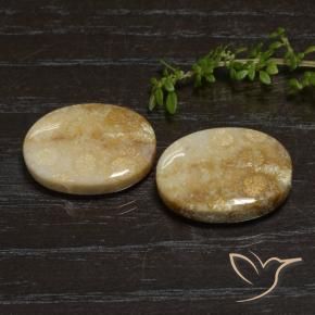 Shop natural 33.11ct マルチカラー 化石サンゴ gems, 楕円形, from インドネシア at GemSelect. In stock, global shipping!