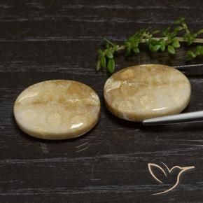 Shop natural 33.11ct マルチカラー 化石サンゴ gems, 楕円形, from インドネシア at GemSelect. In stock, global shipping!