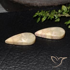 Shop natural 19.11ct マルチカラー 化石サンゴ gems, 洋梨の形, from インドネシア at GemSelect. In stock, global shipping!