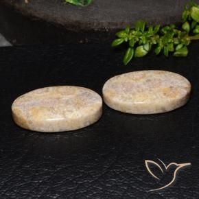 Shop natural 34.13ct マルチカラー 化石サンゴ gems, 楕円形, from インドネシア at GemSelect. In stock, global shipping!
