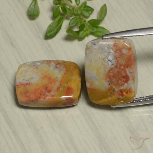 Shop natural 22.48ct マルチカラー 化石サンゴ gems, クッション, from インドネシア at GemSelect. In stock, global shipping!