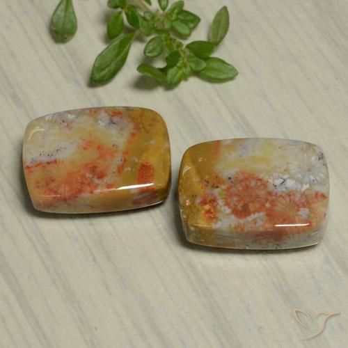 Shop natural 22.48ct マルチカラー 化石サンゴ gems, クッション, from インドネシア at GemSelect. In stock, global shipping!
