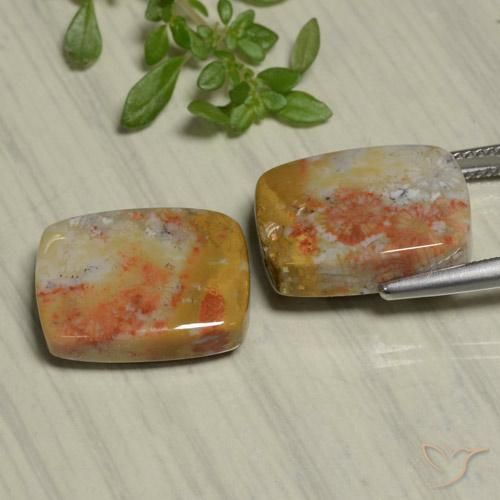 Shop natural 22.48ct マルチカラー 化石サンゴ gems, クッション, from インドネシア at GemSelect. In stock, global shipping!