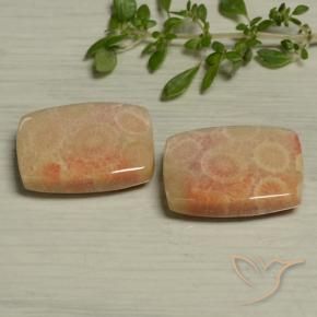 Shop natural 24.61ct マルチカラー 化石サンゴ gems, クッション, from インドネシア at GemSelect. In stock, global shipping!