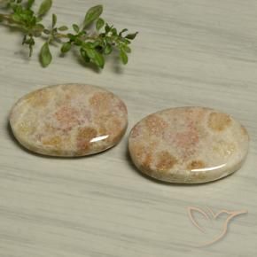 Shop natural 29.97ct マルチカラー 化石サンゴ gems, 楕円形, from インドネシア at GemSelect. In stock, global shipping!