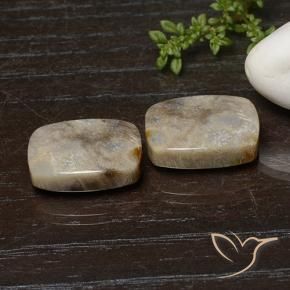 Shop natural 25.74ct マルチカラー 化石サンゴ gems, クッション, from インドネシア at GemSelect. In stock, global shipping!