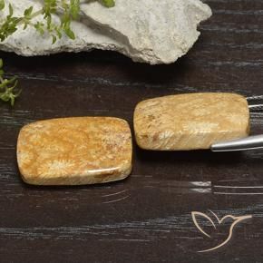 Shop natural 26.68ct マルチカラー 化石サンゴ gems, クッション, from インドネシア at GemSelect. In stock, global shipping!