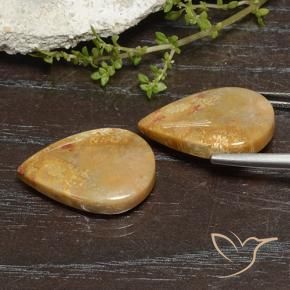Shop natural 23.49ct マルチカラー 化石サンゴ gems, 洋梨の形, from インドネシア at GemSelect. In stock, global shipping!