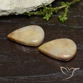 Shop natural 16.56ct マルチカラー 化石サンゴ gems, 洋梨の形, from インドネシア at GemSelect. In stock, global shipping!