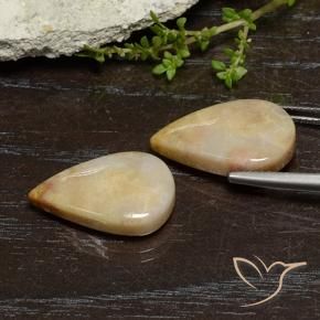 Shop natural 16.56ct マルチカラー 化石サンゴ gems, 洋梨の形, from インドネシア at GemSelect. In stock, global shipping!
