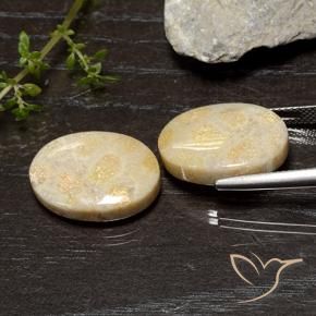 Shop natural 20.54ct マルチカラー 化石サンゴ gems, 楕円形, from インドネシア at GemSelect. In stock, global shipping!