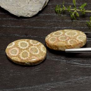 自然派の商品を探す 29.50ct マルチカラー 化石サンゴ 宝石, オーバルカット, インドネシア からGemSelectで. 在庫あり、世界各国へ発送!