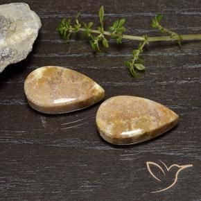 Shop natural 25.11ct マルチカラー 化石サンゴ gems, 洋梨の形, from インドネシア at GemSelect. In stock, global shipping!