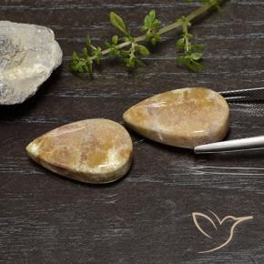 Shop natural 25.11ct マルチカラー 化石サンゴ gems, 洋梨の形, from インドネシア at GemSelect. In stock, global shipping!