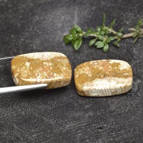 自然派の商品を探す 16.41ct マルチカラー 化石サンゴ 宝石, クッションカット, インドネシア からGemSelectで. 在庫あり、世界各国へ発送!