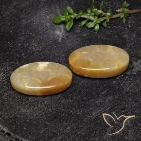 Shop natural 17.47ct マルチカラー 化石サンゴ gems, 楕円形, from インドネシア at GemSelect. In stock, global shipping!