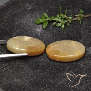 Shop natural 17.47ct マルチカラー 化石サンゴ gems, 楕円形, from インドネシア at GemSelect. In stock, global shipping!