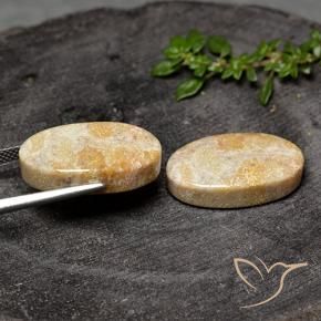 Shop natural 26.31ct マルチカラー 化石サンゴ gems, 楕円形, from インドネシア at GemSelect. In stock, global shipping!