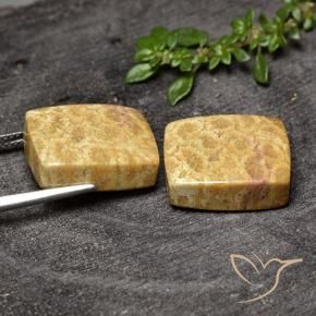 Shop natural 29.63ct マルチカラー 化石サンゴ gems, クッション, from インドネシア at GemSelect. In stock, global shipping!