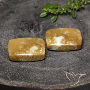 Shop natural 30.80ct マルチカラー 化石サンゴ gems, クッション, from インドネシア at GemSelect. In stock, global shipping!