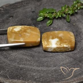 Shop natural 30.80ct マルチカラー 化石サンゴ gems, クッション, from インドネシア at GemSelect. In stock, global shipping!