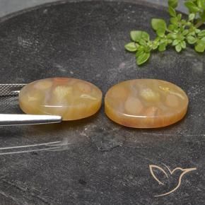 Shop natural 25.17ct マルチカラー 化石サンゴ gems, 楕円形, from インドネシア at GemSelect. In stock, global shipping!