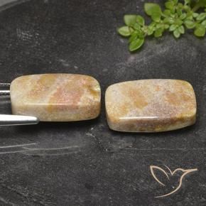 Shop natural 29.36ct マルチカラー 化石サンゴ gems, クッション, from インドネシア at GemSelect. In stock, global shipping!