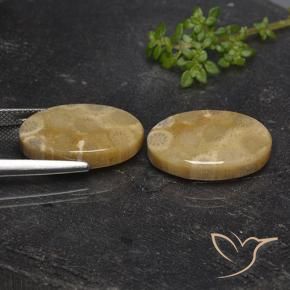 Shop natural 21.72ct マルチカラー 化石サンゴ gems, 楕円形, from インドネシア at GemSelect. In stock, global shipping!