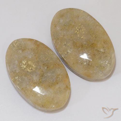 Shop natural 27.02ct マルチカラー 化石サンゴ gems, 楕円形, from インドネシア at GemSelect. In stock, global shipping!
