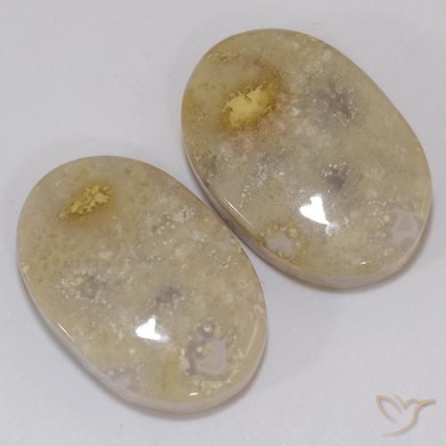 Shop natural 21.60ct マルチカラー 化石サンゴ gems, 楕円形, from インドネシア at GemSelect. In stock, global shipping!