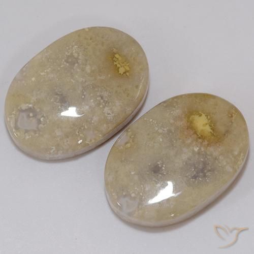 Shop natural 21.60ct マルチカラー 化石サンゴ gems, 楕円形, from インドネシア at GemSelect. In stock, global shipping!