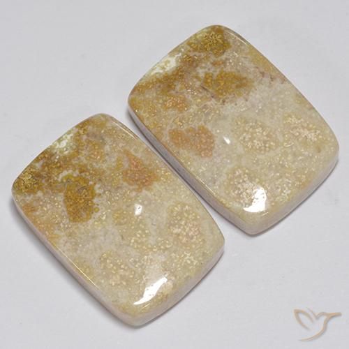 Shop natural 31.35ct マルチカラー 化石サンゴ gems, クッション, from インドネシア at GemSelect. In stock, global shipping!
