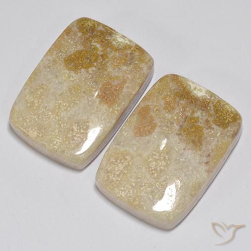 Shop natural 31.35ct マルチカラー 化石サンゴ gems, クッション, from インドネシア at GemSelect. In stock, global shipping!