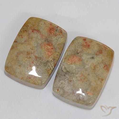 Shop natural 46.76ct マルチカラー 化石サンゴ gems, クッション, from インドネシア at GemSelect. In stock, global shipping!
