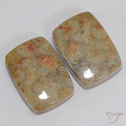 Shop natural 46.76ct マルチカラー 化石サンゴ gems, クッション, from インドネシア at GemSelect. In stock, global shipping!