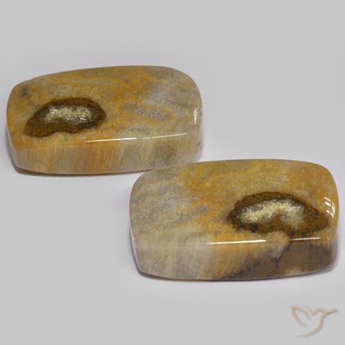 Shop natural 24.86ct マルチカラー 化石サンゴ gems, クッション, from インドネシア at GemSelect. In stock, global shipping!