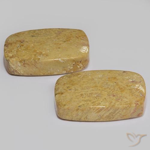 Shop natural 28.04ct マルチカラー 化石サンゴ gems, クッション, from インドネシア at GemSelect. In stock, global shipping!