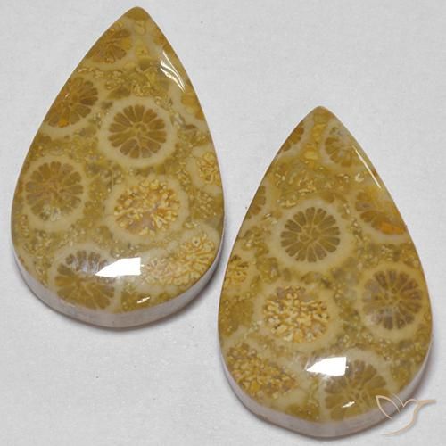 自然派の商品を探す 17.56ct マルチカラー 化石サンゴ 宝石, 洋梨の形, インドネシア からGemSelectで. 在庫あり、世界各国へ発送!