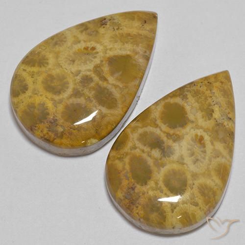 Shop natural 40.40ct マルチカラー 化石サンゴ gems, 洋梨の形, from インドネシア at GemSelect. In stock, global shipping!