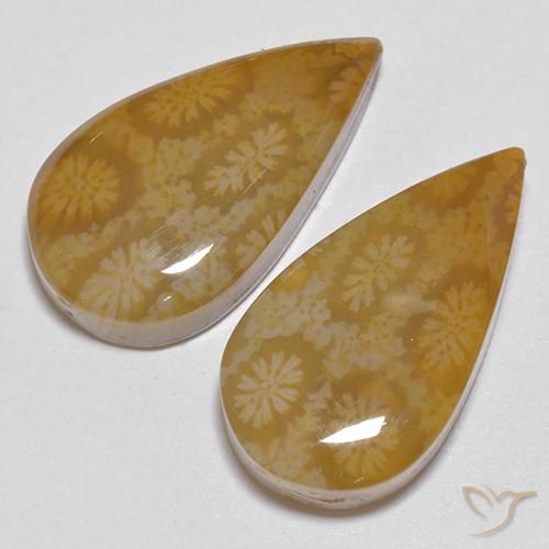 Shop natural 21.24ct マルチカラー 化石サンゴ gems, 洋梨の形, from インドネシア at GemSelect. In stock, global shipping!