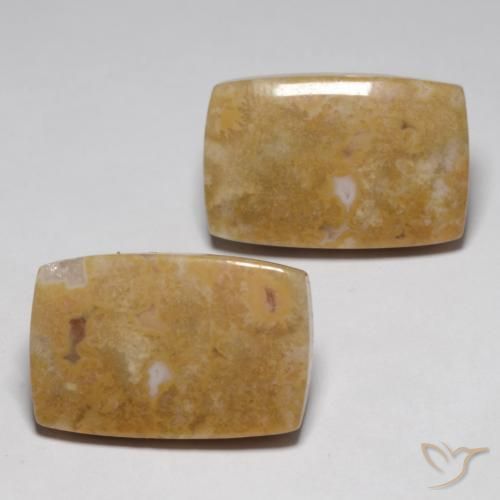 Shop natural 29.09ct マルチカラー 化石サンゴ gems, クッション, from インドネシア at GemSelect. In stock, global shipping!