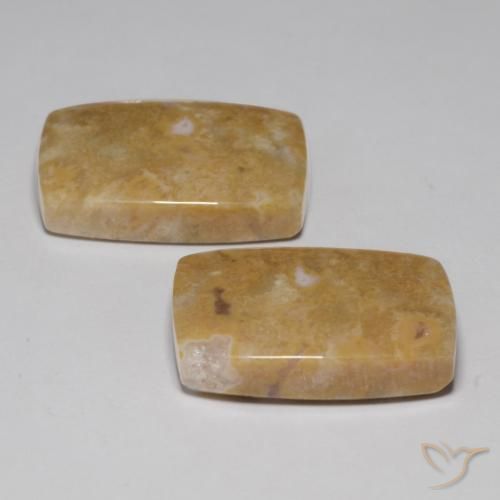 Shop natural 29.09ct マルチカラー 化石サンゴ gems, クッション, from インドネシア at GemSelect. In stock, global shipping!