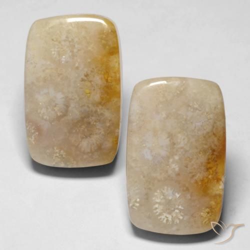 Shop natural 29.43ct マルチカラー 化石サンゴ gems, クッション, from インドネシア at GemSelect. In stock, global shipping!