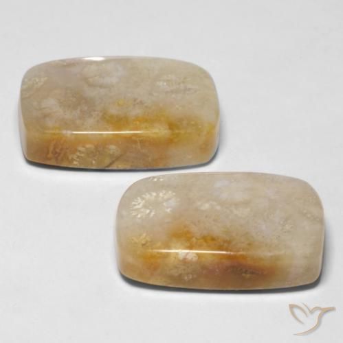 Shop natural 29.43ct マルチカラー 化石サンゴ gems, クッション, from インドネシア at GemSelect. In stock, global shipping!