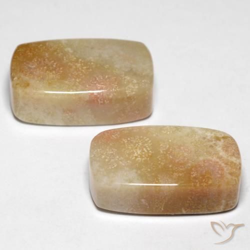 Shop natural 28.47ct マルチカラー 化石サンゴ gems, クッション, from インドネシア at GemSelect. In stock, global shipping!