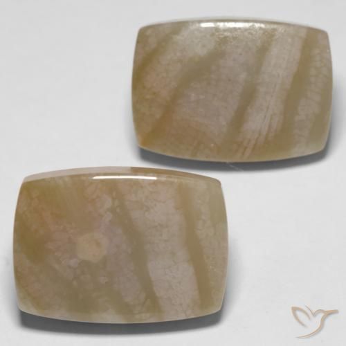 Shop natural 27.98ct マルチカラー 化石サンゴ gems, クッション, from インドネシア at GemSelect. In stock, global shipping!