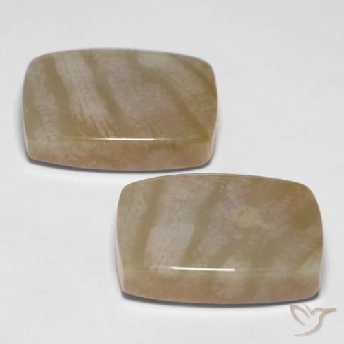 Shop natural 27.98ct マルチカラー 化石サンゴ gems, クッション, from インドネシア at GemSelect. In stock, global shipping!