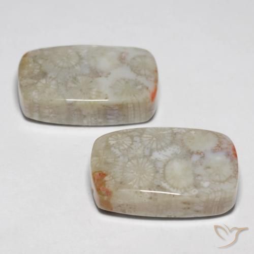 Shop natural 23.76ct マルチカラー 化石サンゴ gems, クッション, from インドネシア at GemSelect. In stock, global shipping!