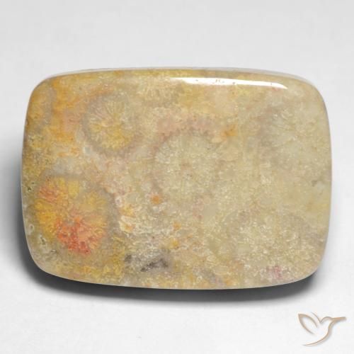 17.45ct 天然 マルチカラー 化石サンゴ, クッション, オペーク
